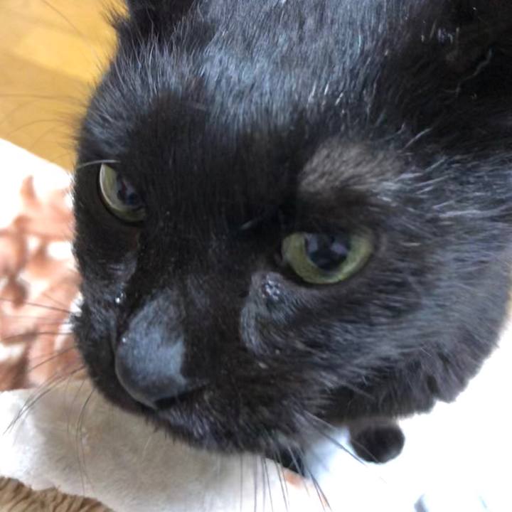 C74d302d 996b 47ba a91d 739912c16704 1603103974943