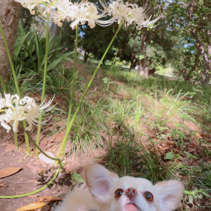 C74d90ea 3f0d 4361 9d4b 835ee0f35a5c 1759274384541