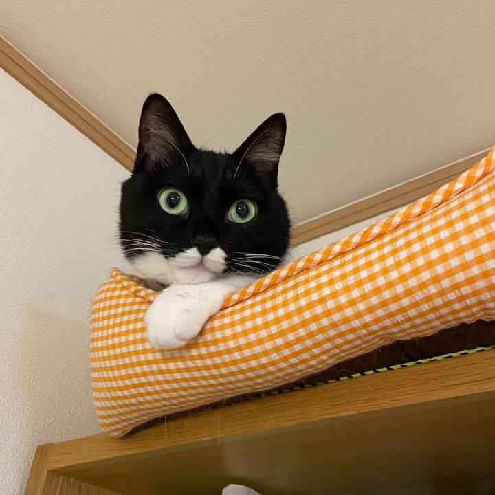 C74da671 0af7 4e16 92f0 cc2cb99d517b 1650930330351