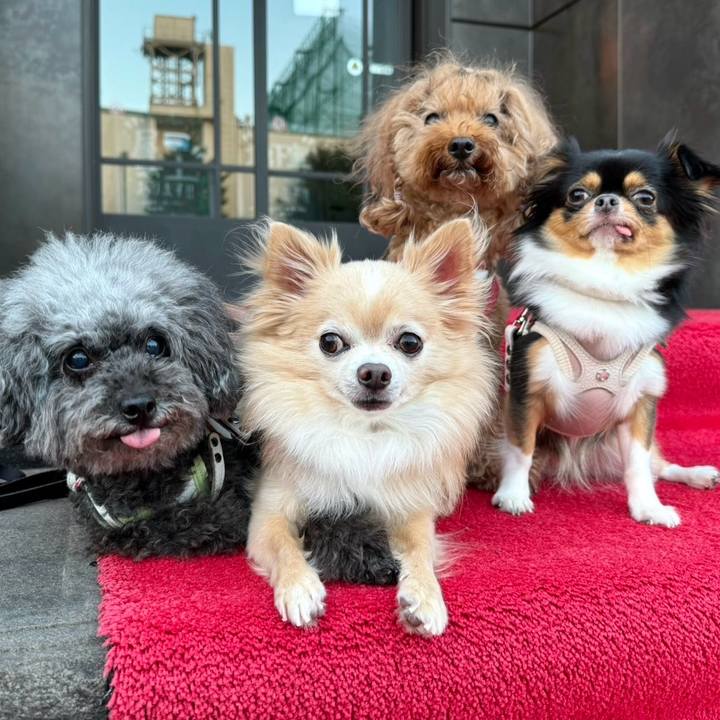 C74df0e8 9ead 4d94 ae56 1f70667a89cb 1726011522589