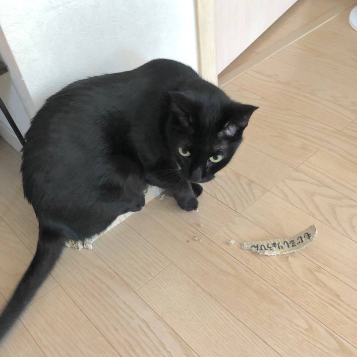 C74e8ddb 9a43 42fa b55c 92b53fe349a3 1538345353017