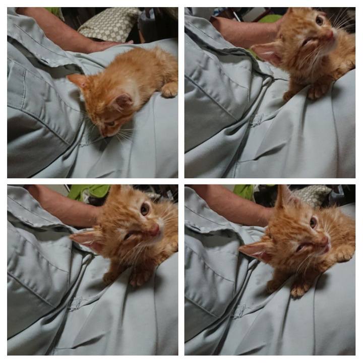 C74eea0e 30ec 4f8f 83dd 9579bf655c02 1627731850385