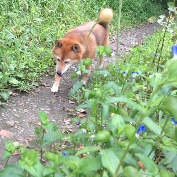 C74f05bb 78ad 44f8 80ad d56643bcaf9d 1536554115028