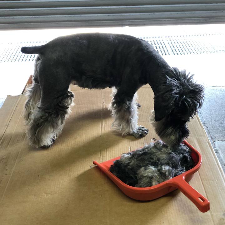 C74f2103 4516 4879 b933 bb10d84fe101 1686379304984