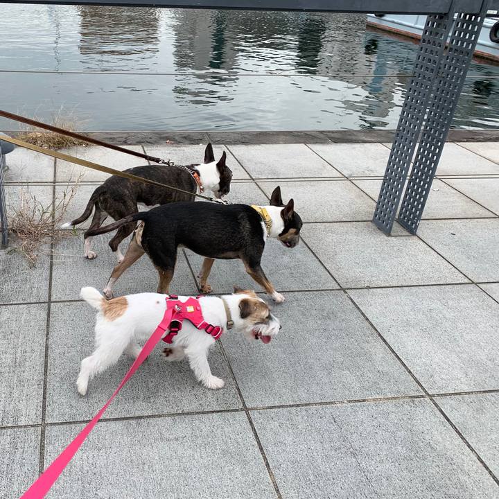 C74f488c d436 4d6b 9921 aff376cab3b0 1572787455010