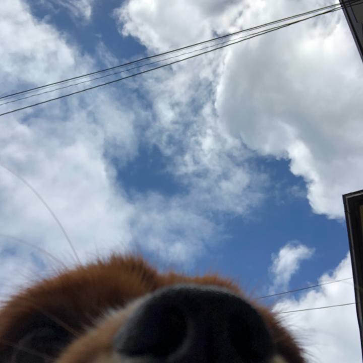 C74f63fd e39e 4679 8089 da1ba7f7833d 1553424966146