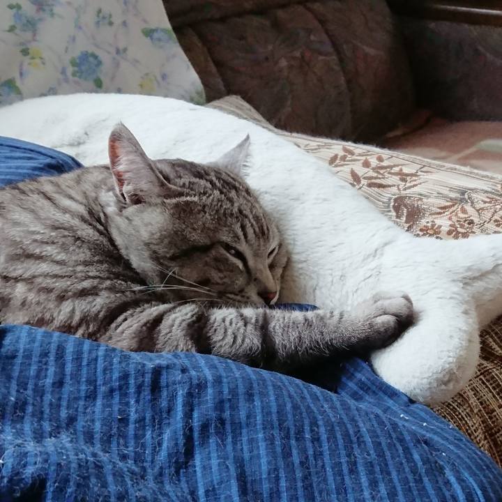 C74f74ef 5109 4583 9d53 5a9599c460f8 1523001573197