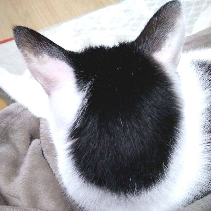 C74fd556 83a5 4d57 ba01 b4a0056ba581 1551448913832