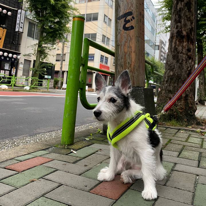 C7500a2d 29d5 4c37 89d2 355f9774d8c3 1595114895626