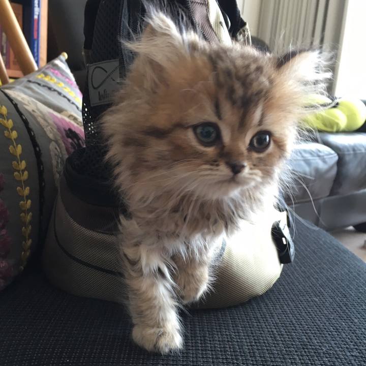 C75014b3 93a7 47d6 aa81 b31e040ad474 1525133813339