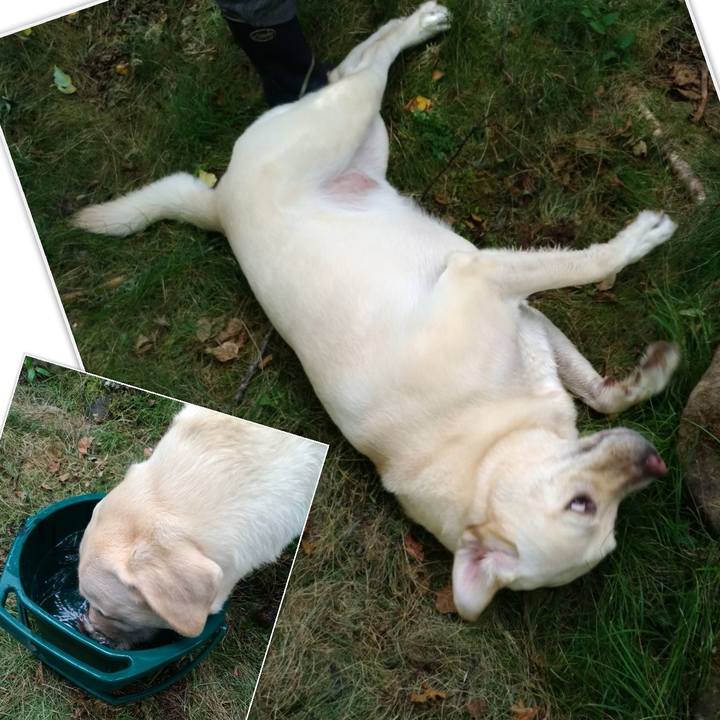 C7509820 09a9 4482 a8d0 c582482111e4 1597131710257