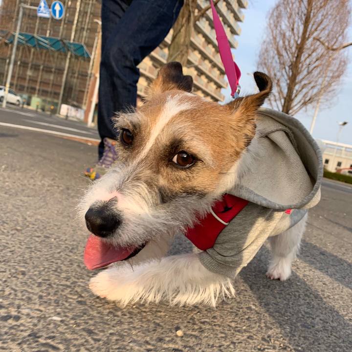 C750b053 4602 4af7 ae47 222fbb1c611f 1583056501825