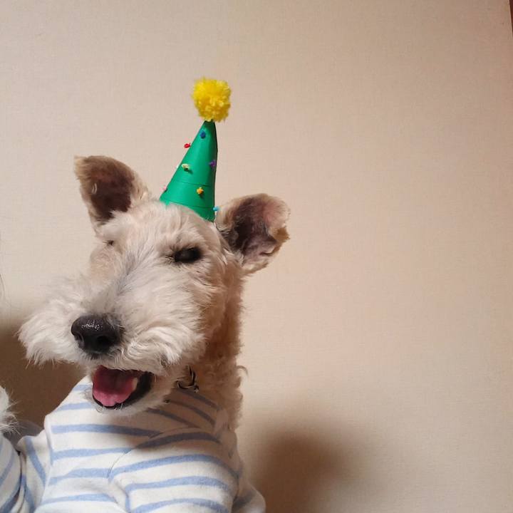 C750c408 aa0e 43e5 853b 829bd9393f31 1640348512703