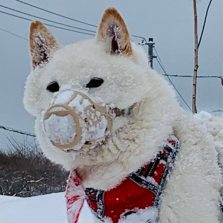 C750e579 f33c 42e3 8ee3 6fca55d019be 1609297409918