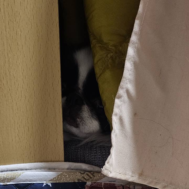 C750f989 9c5e 45a0 bf35 78448752a953 1739090452307