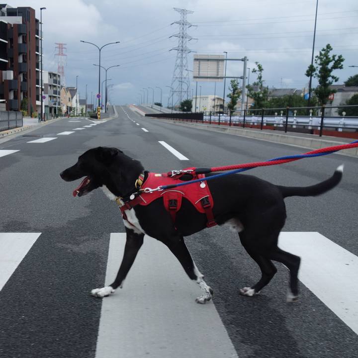 C751375c af71 4962 8a4e dadc0b0337eb 1594722862257