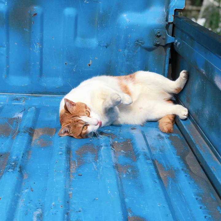 C75158bc b907 476e 8727 c0079e4c74ed 1529042851774