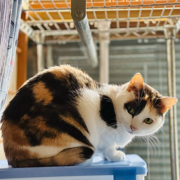 C75159f4 5580 4999 b62f 9f2e045a3eed 1702173879375