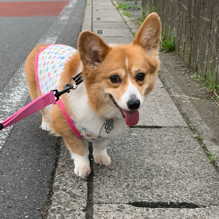 C7516ee8 ccfc 47a8 8709 23dc014c1acb 1592777008180