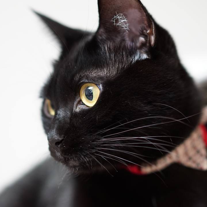 C7518170 0b51 4b12 a5b9 96622fa8ce5b 1547558892452