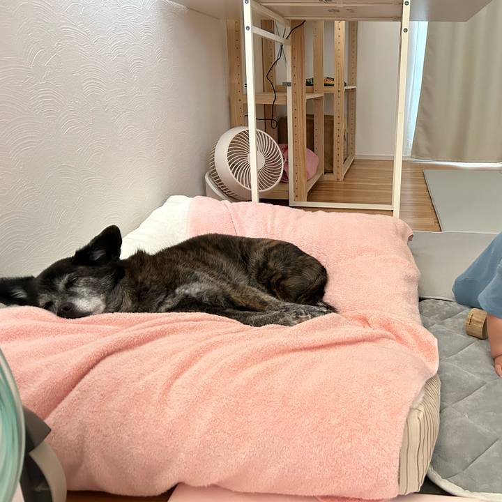 C751b738 f0d2 4245 8b9e 3c51dc95dac0 1728739563962