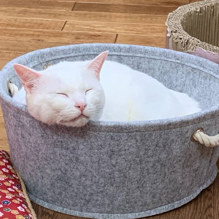 C751e7be 414b 4a90 a651 6c0cf0ef1afb 1589077215393