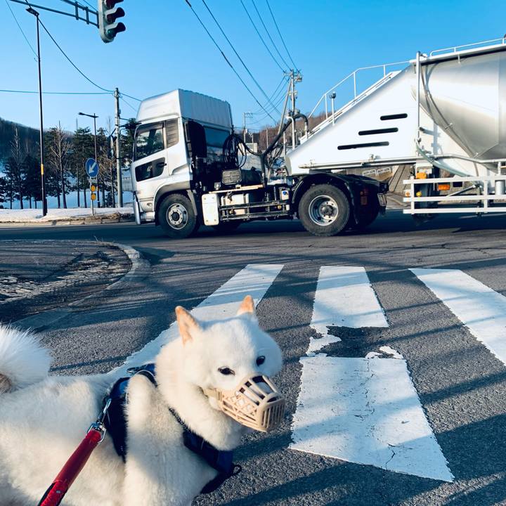 C751ee60 e0a8 4e46 8d4f db27ba619f02 1648504577378