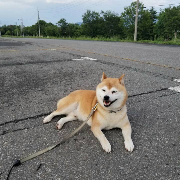 C751f9b4 8c47 4ca6 92ee 129016be0676 1625042517896