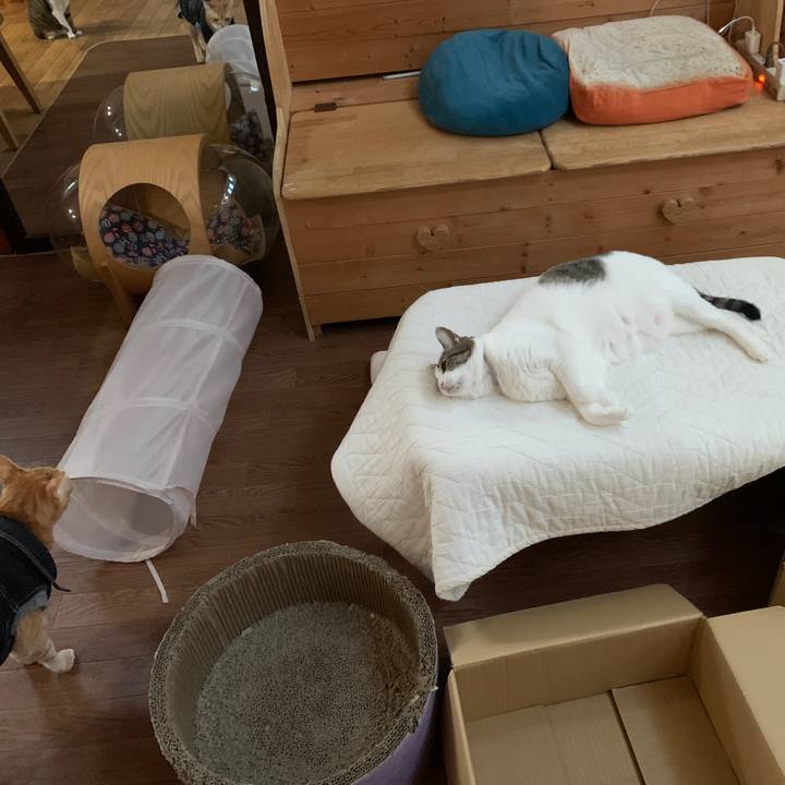 C752110a b292 4f4f bf4e e403f4542f66 1652819160155