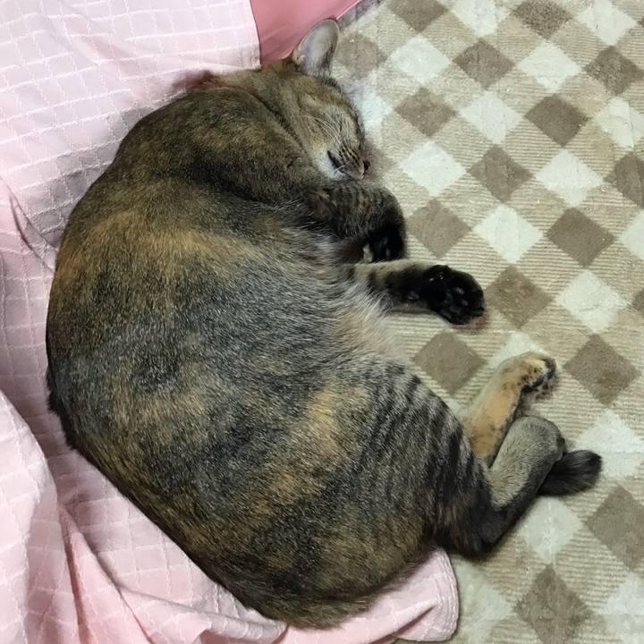 C75217c5 461c 4141 abd2 c78293ba2f7e 1641783354123