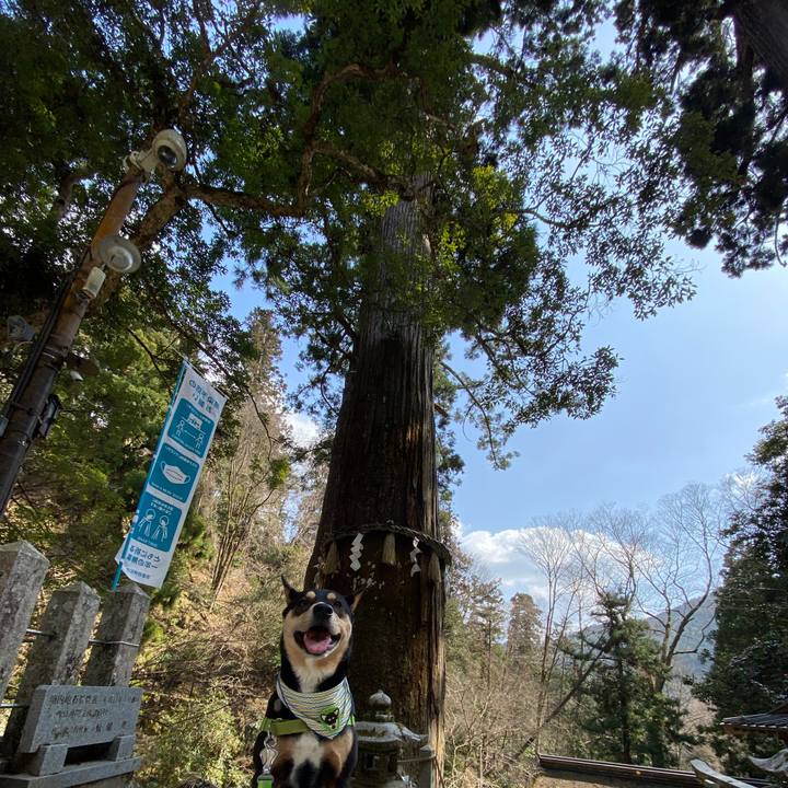 C752452c 8037 4391 9348 6e2cf4dcdaa8 1615375715279