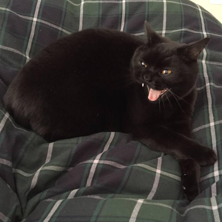 C7525422 9d37 4cd8 a1e8 045570a37354 1517405620110