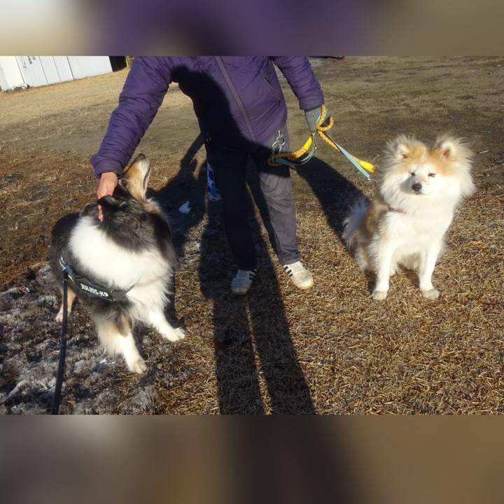 C7525f3a f1f3 45b2 8f8d ae0d88c5019e 1612099915031