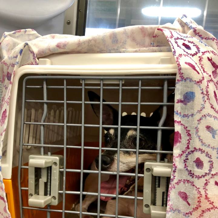 C7529001 b0f2 4b15 a483 7cf7d69d158e 1565607241156