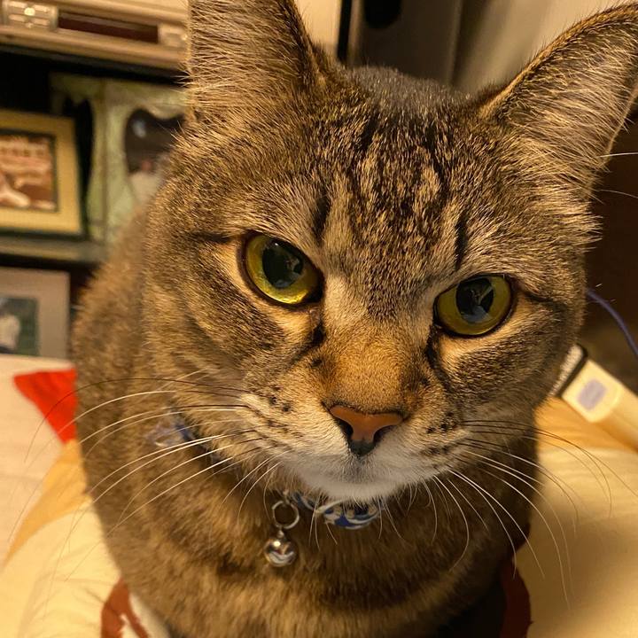 C752cc80 6108 4aff 891f 8f25cca35fe2 1585603248615