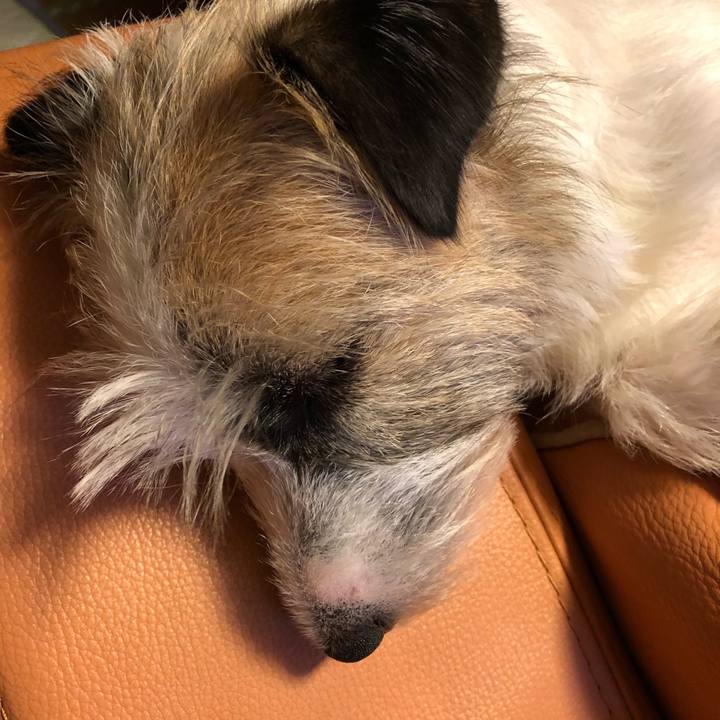 C752ec2d 55ca 4b73 be1e c2425774b8ce 1529855670104