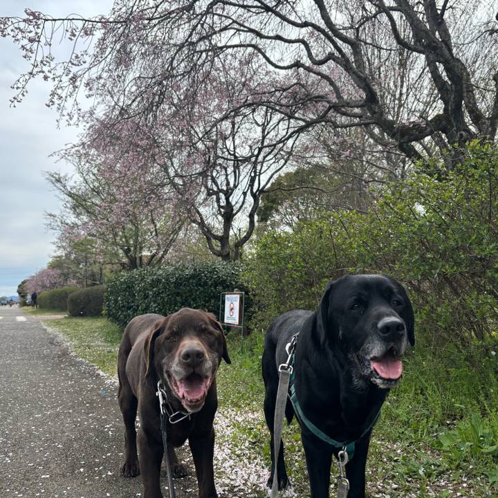 C752ed5a 7780 40b3 bea1 ed65e640c68f 1775567261697