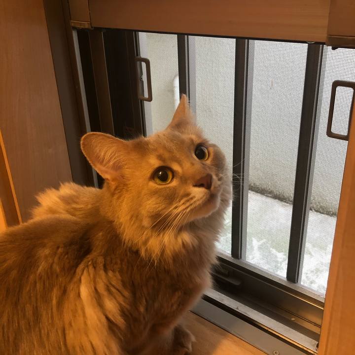 C7532858 98a3 4647 853a dd30f6c330cf 1613794238705