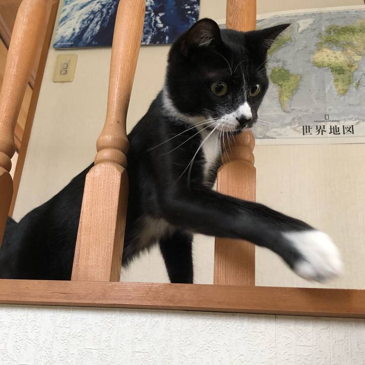 C7535cba c619 4550 bbdd 1876deb78df4 1536119738749