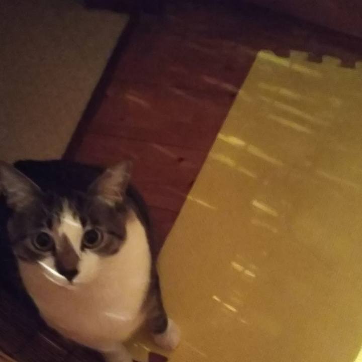 C75372d4 b0c9 48d6 ac7f 086dc10f089c 1613697769947