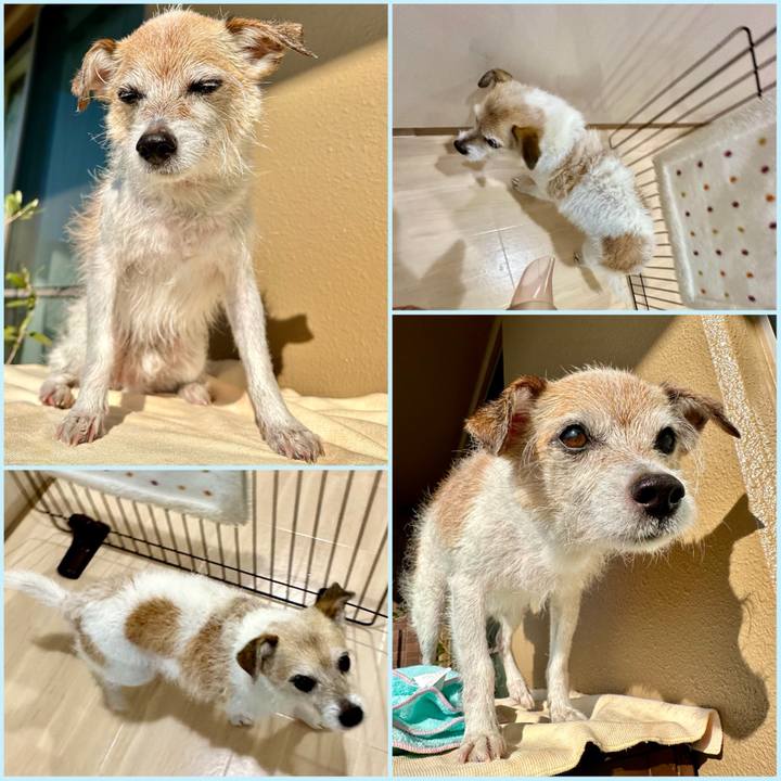 C75395ac 1236 4ded b60e 8fddf4fa1e37 1710462609670