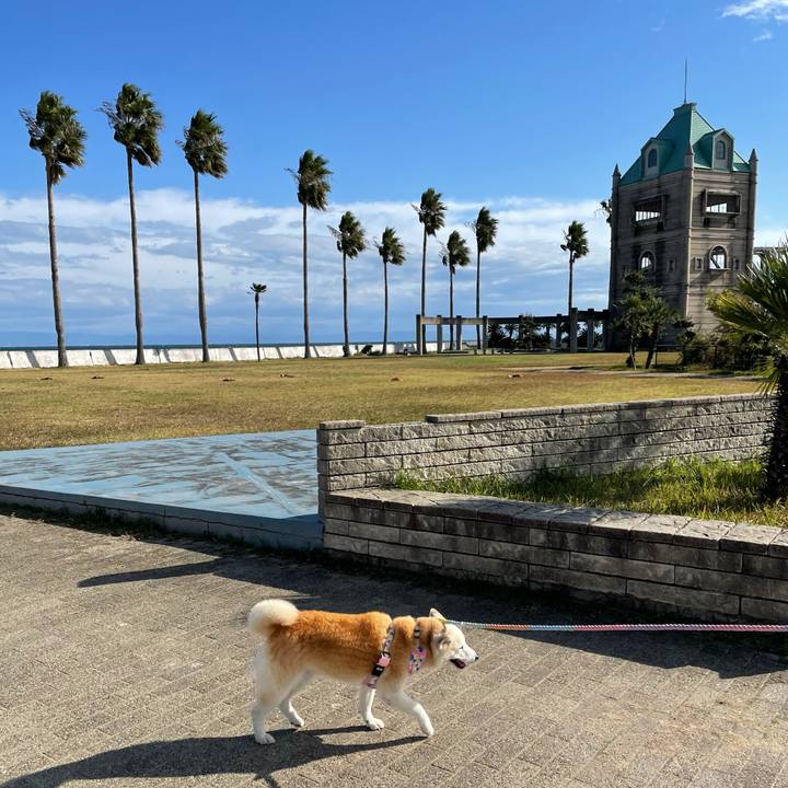 C7539ccc a990 45b4 8d29 ffa8ad3fd1a4 1636405324092