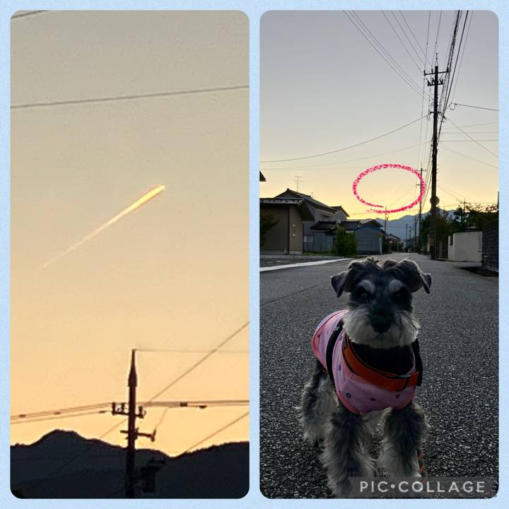 C7539de1 badf 452a 8858 9238c79ea0a7 1729603580037