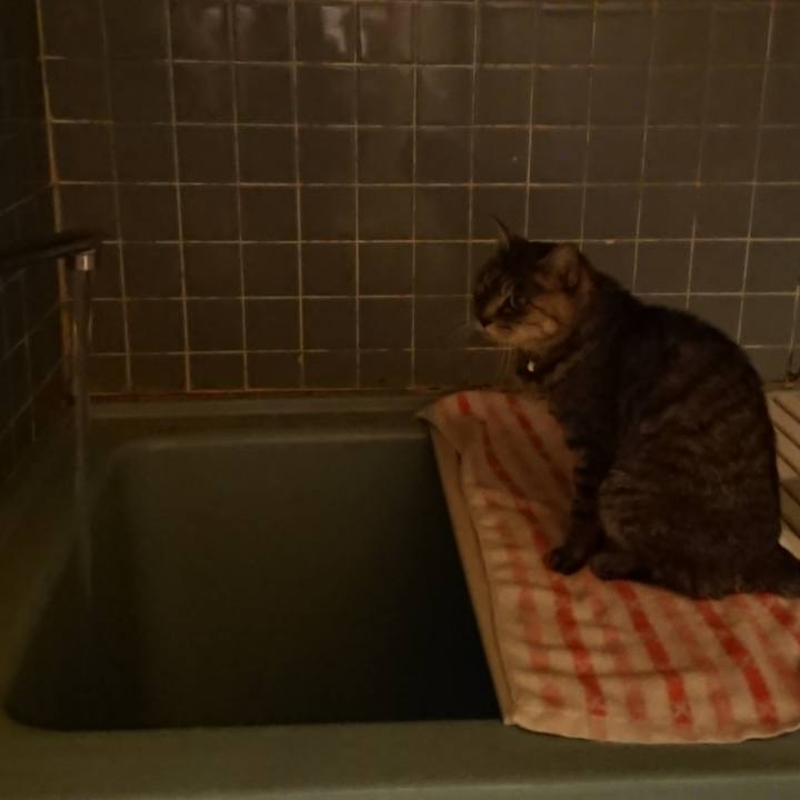 C753b04a 74d7 4b41 b63e a4d63228582b 1577353308497