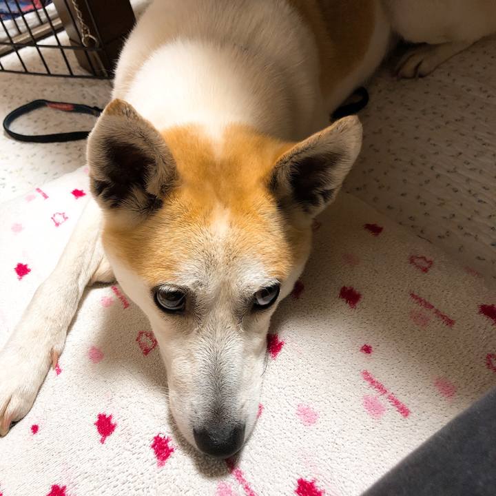 C753b82b 978c 43cc be27 ba3cc2f6b321 1589410170587