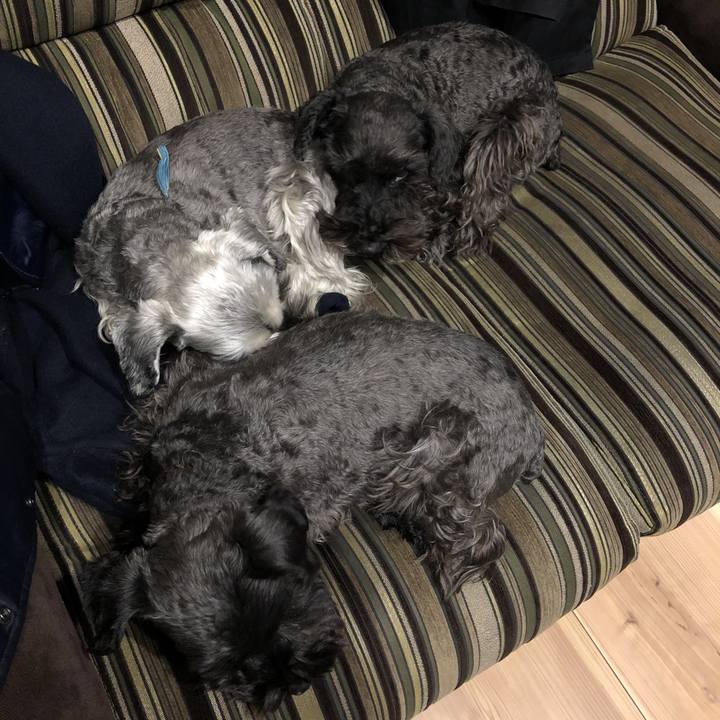 C754113b a9a2 476f 9b4b 1f1fadbc6498 1581516061260