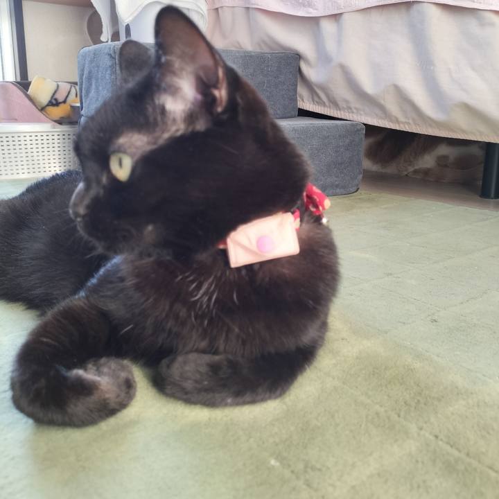 C7543865 1b73 41c4 96e0 01b9c36b1488 1661294030882