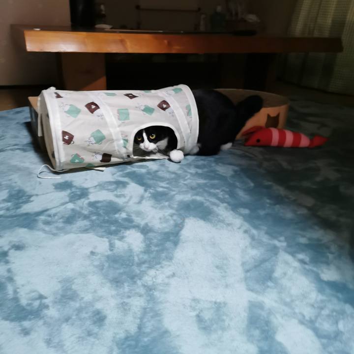 C75456fc 6564 4850 99e9 6acde03d9714 1643440127161