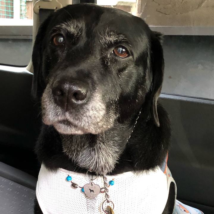 C754b3ed d614 4669 919f 934394a4cdc2 1595252663520