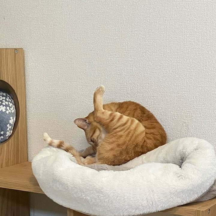 C754c85a 8b3a 419e 8b82 7ff395ea1cd5 1776553770433